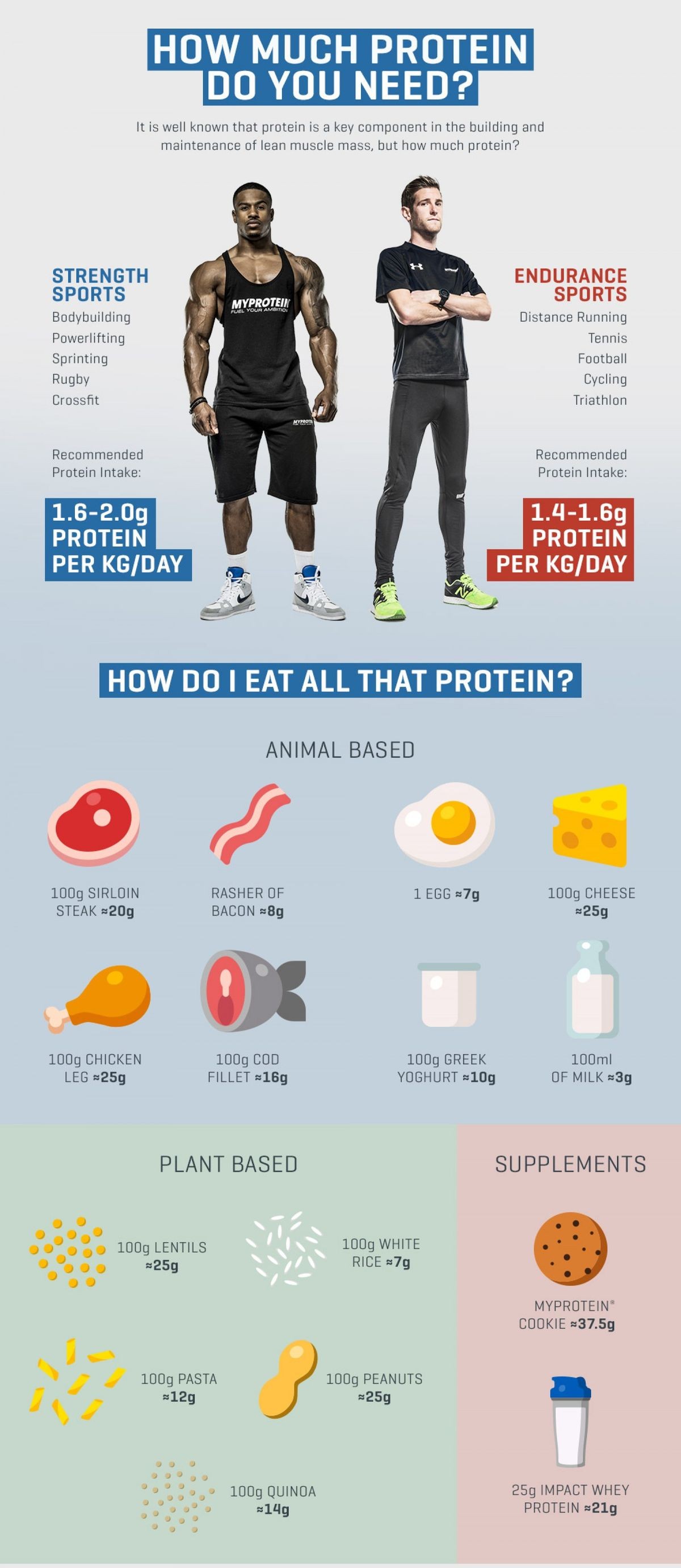 Protein-web
