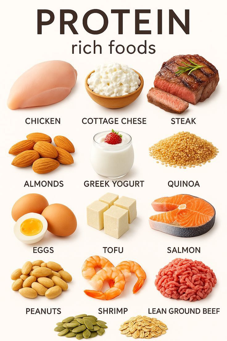 Protein-web